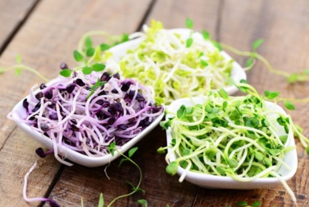 Rezeptideen mit Sprossen und Keimlingen