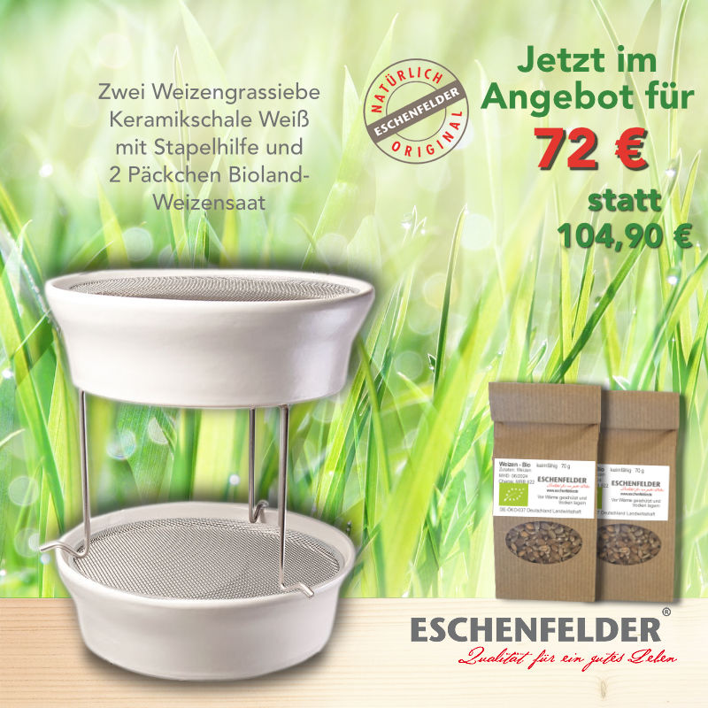 NEU im Angebot: Weizengrasgeschenkset