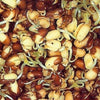 Azukibohnen Bio-Keimsaat, 500g