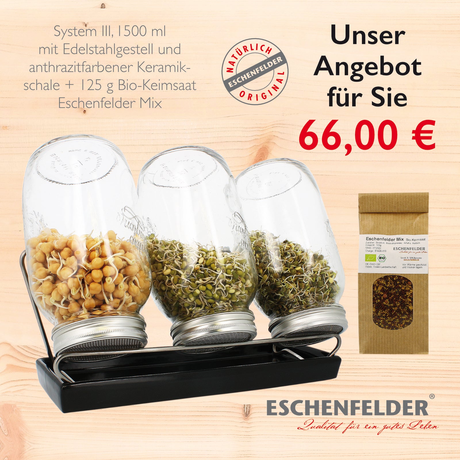 ANGEBOT System III 1500, Schale Anthrazit mit Bio-Keimsaat Eschenfelder Mix