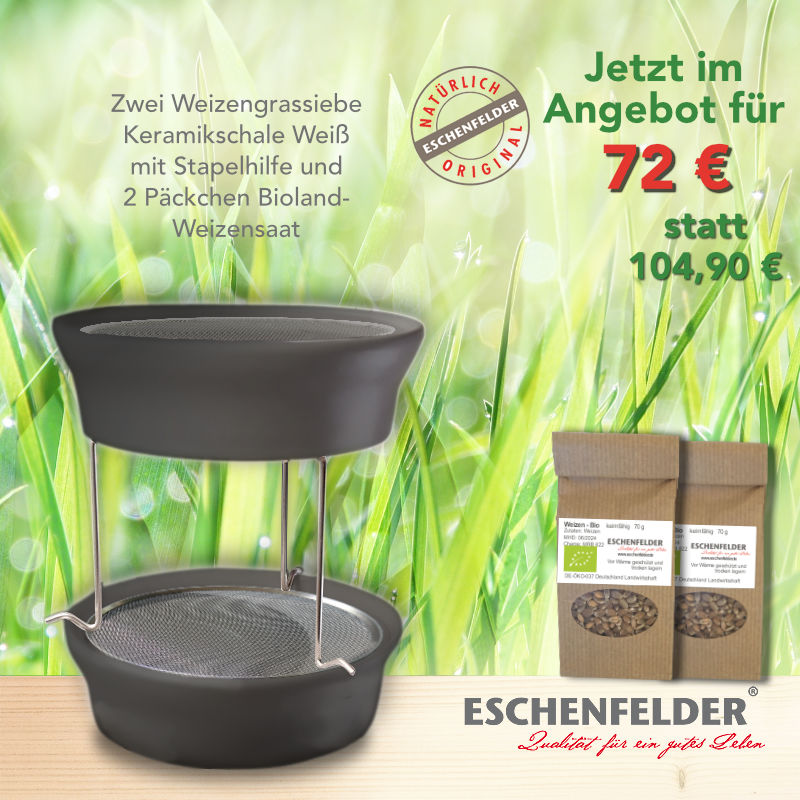 ANGEBOT: Zwei Weizengrassiebe Anthrazit mit Stapelhilfe