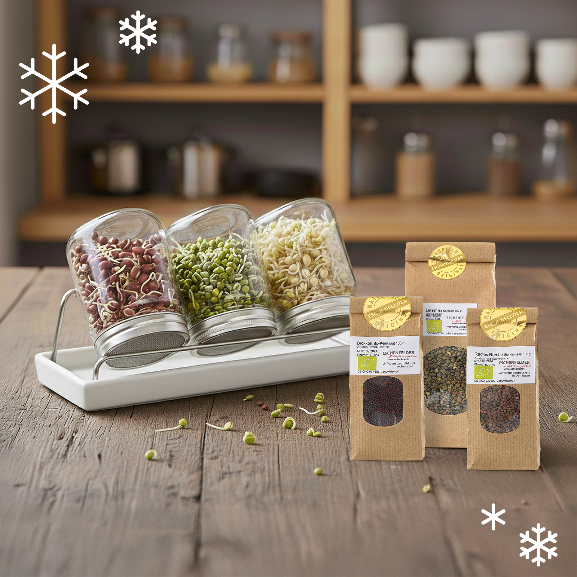 ANGEBOT: Sprossenglas-System mit drei ausgewählten Bio-Keimsaaten